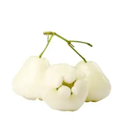 Jamrul Java Apple White