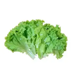 Lettuce Leaves