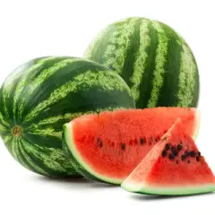 Watermelon Medium Tormuj